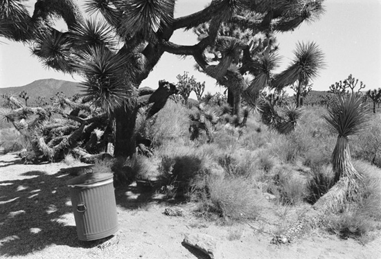 near 29 Palms, California, USA